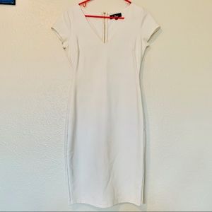 Lulus sheath dress